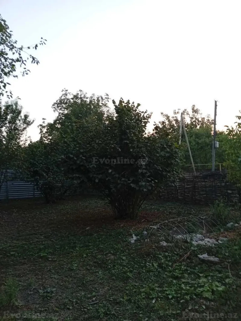 Satılır Torpaq 6 sot Oğuz - şəkil 4
