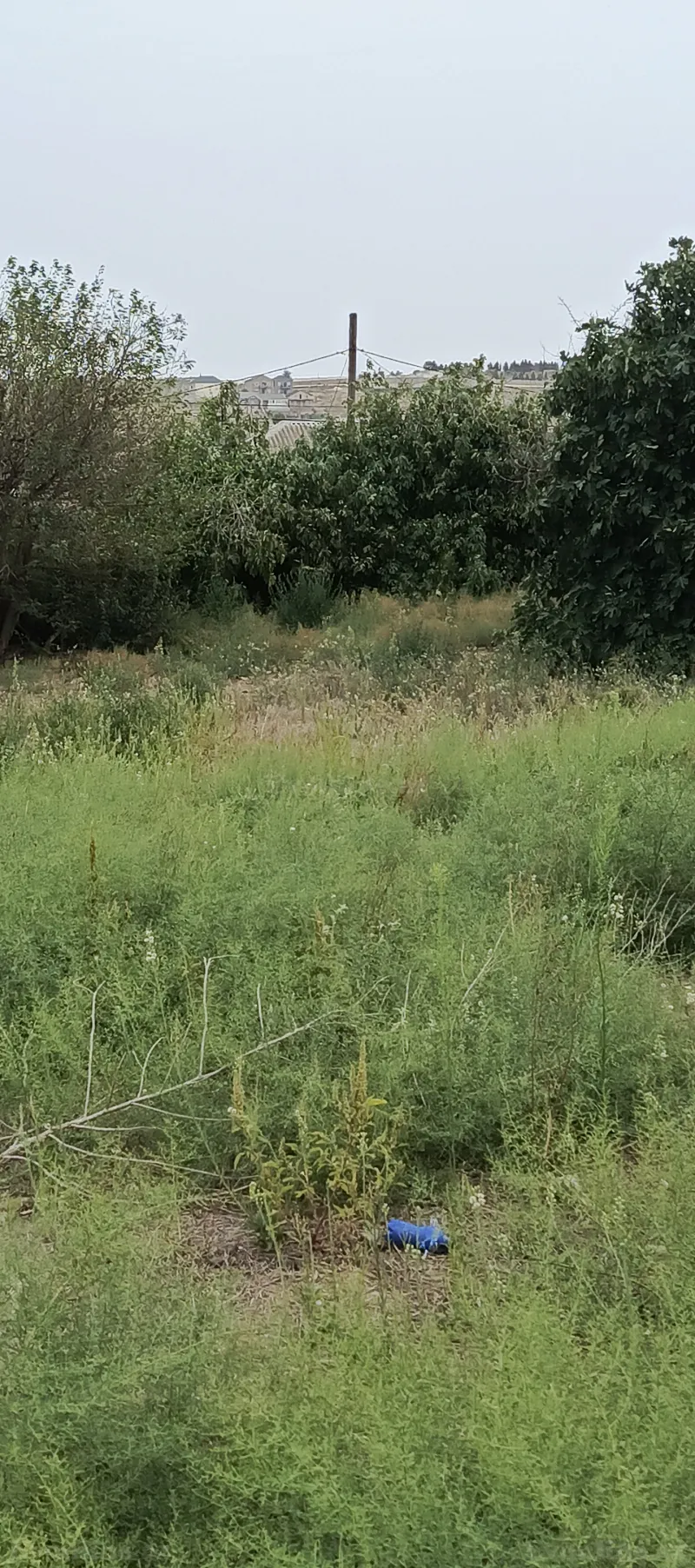 Torpaq Digah Satılır