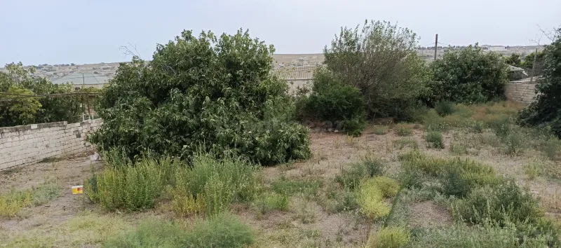 Satılır Torpaq 15 sot Digah - şəkil 2