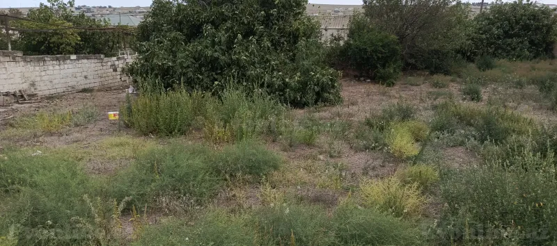Satılır Torpaq 15 sot Digah - şəkil 3