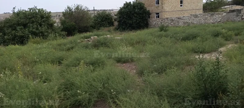 Satılır Torpaq 15 sot Digah - şəkil 4