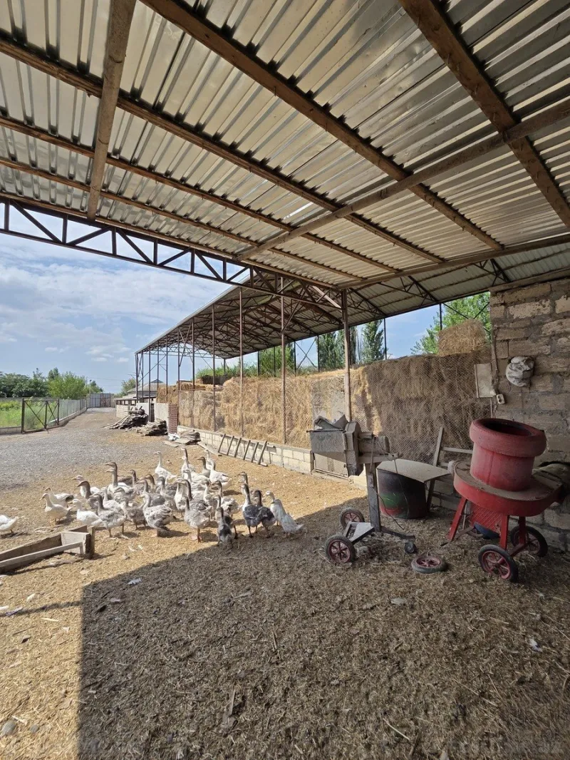 Satılır Obyekt 10000 m² Beyləqan