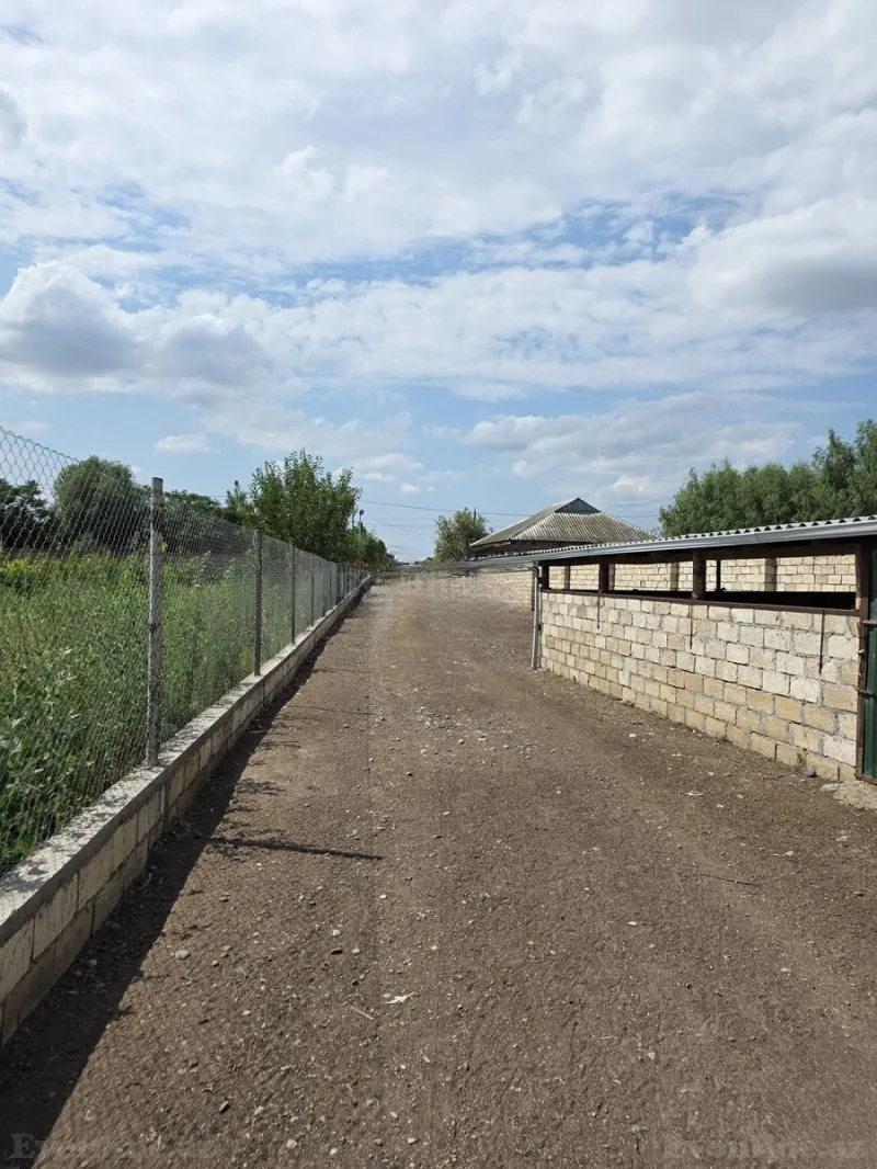 Satılır Obyekt 10000 m² Beyləqan - şəkil 2