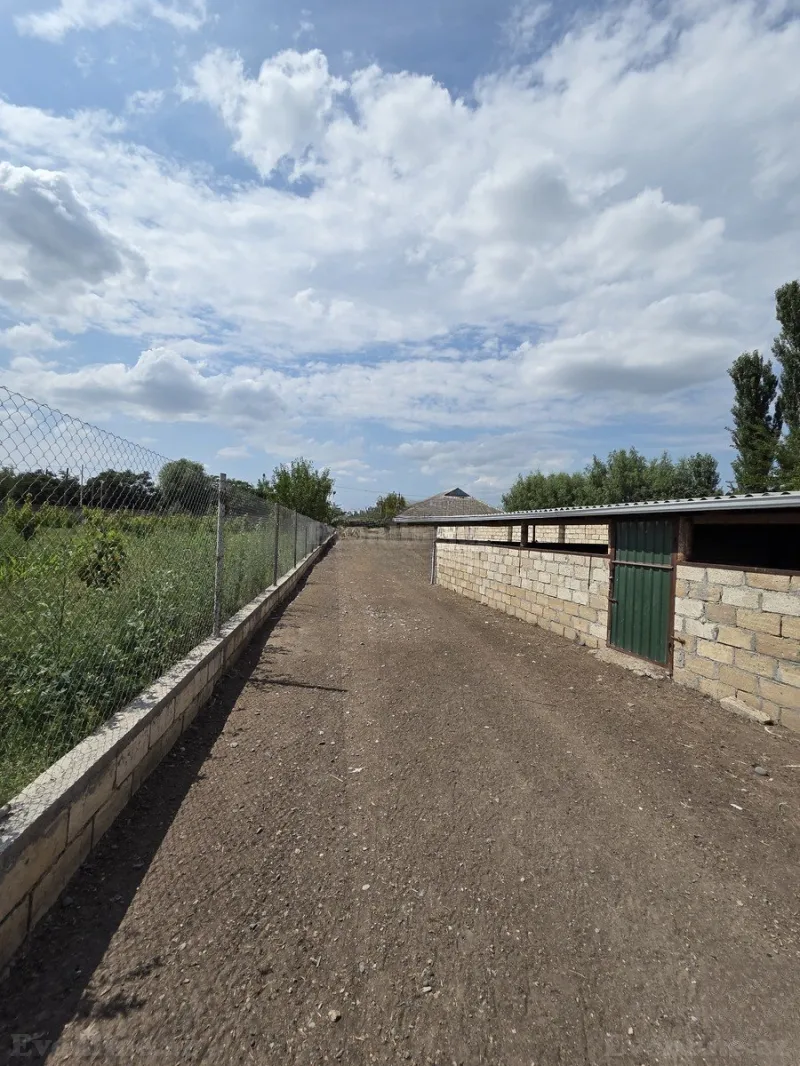Satılır Obyekt 10000 m² Beyləqan - şəkil 5
