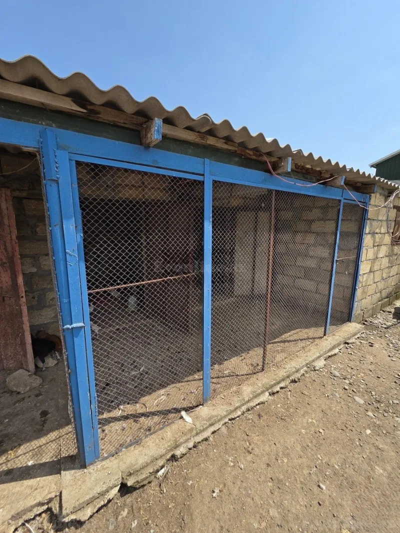 Satılır Obyekt 10000 m² Beyləqan - şəkil 12