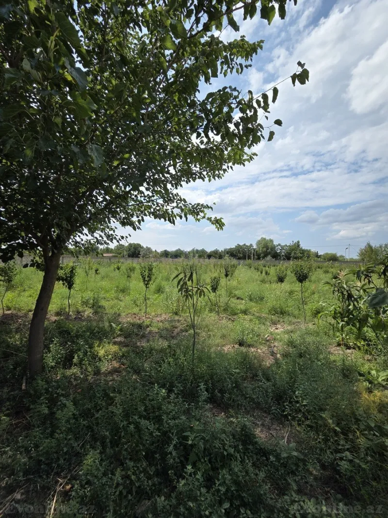Satılır Obyekt 10000 m² Beyləqan - şəkil 16