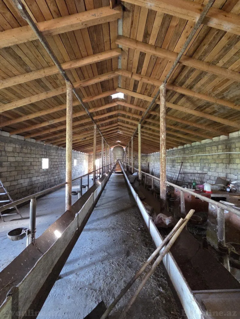 Satılır Obyekt 10000 m² Beyləqan - şəkil 17