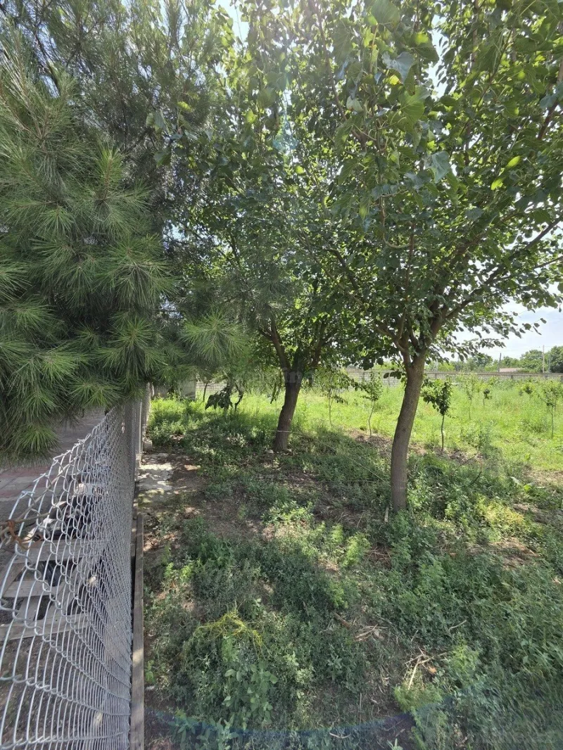 Satılır Obyekt 10000 m² Beyləqan - şəkil 18