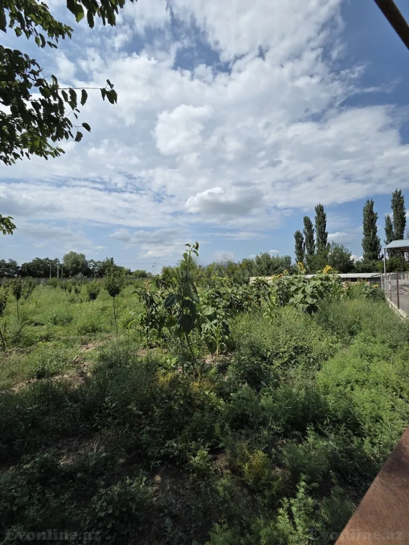 Satılır Obyekt 10000 m² Beyləqan - şəkil 20
