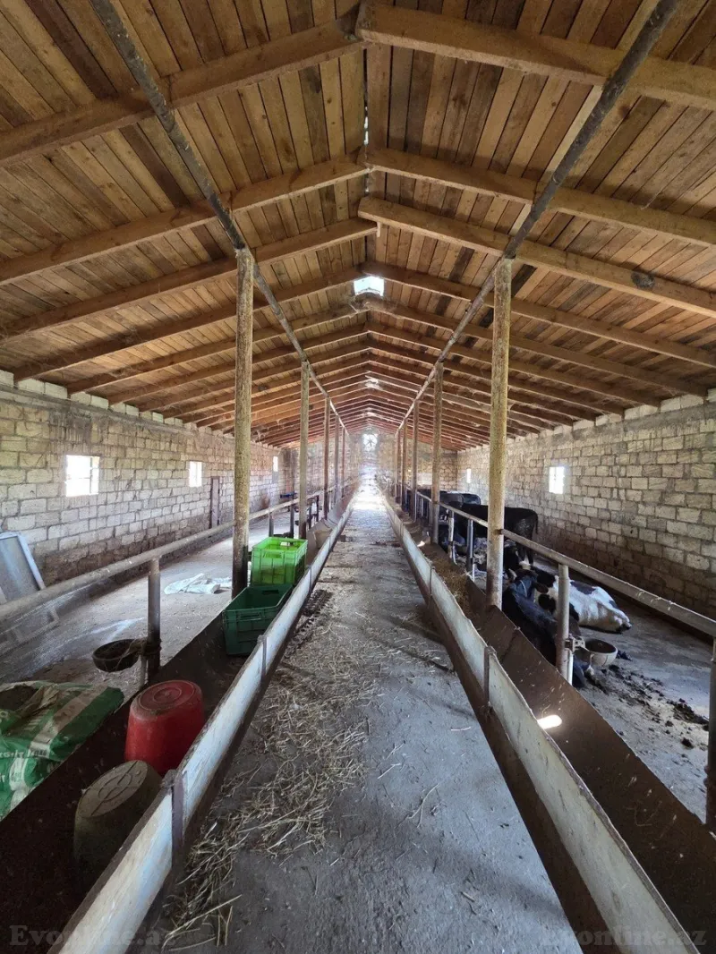 Satılır Obyekt 10000 m² Beyləqan - şəkil 21