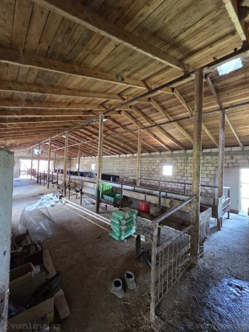 Satılır Obyekt 10000 m² Beyləqan - şəkil 23
