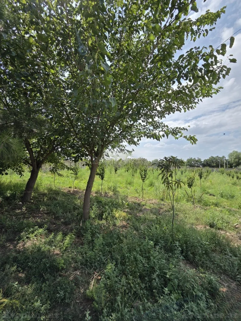 Satılır Obyekt 10000 m² Beyləqan - şəkil 27