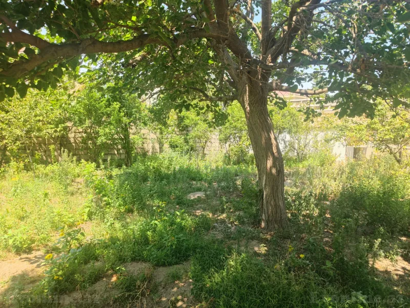 Satılır 4 otaqlı Həyət evi 200 m² Corat - şəkil 14