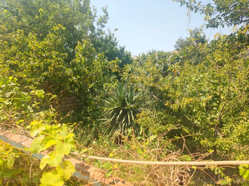 Satılır 4 otaqlı Həyət evi 200 m² Corat - şəkil 15