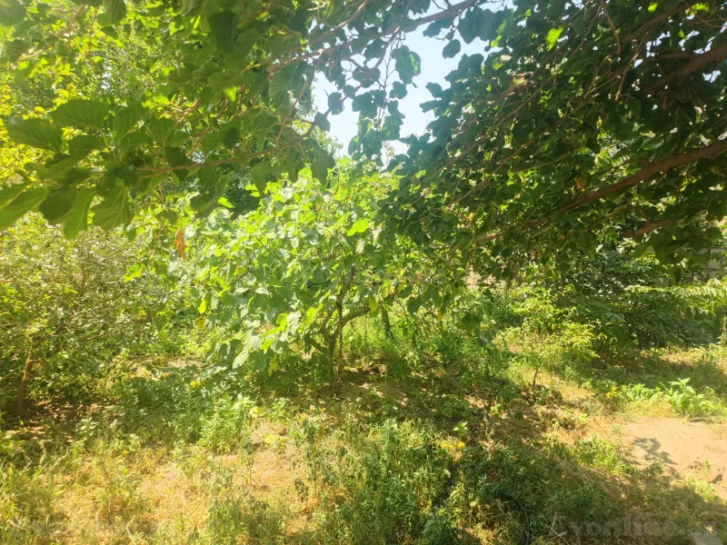 Satılır 4 otaqlı Həyət evi 200 m² Corat - şəkil 17