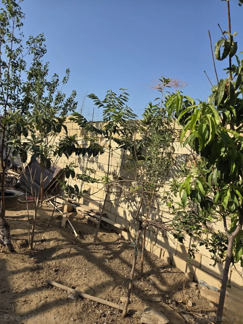 Satılır 4 otaqlı Həyət evi 180 m² Masazır - şəkil 5