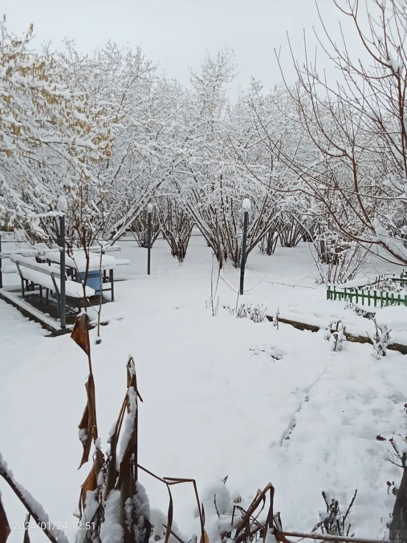 4 otaqlı həyət evi satılır — Qəbələ - şəkil 2