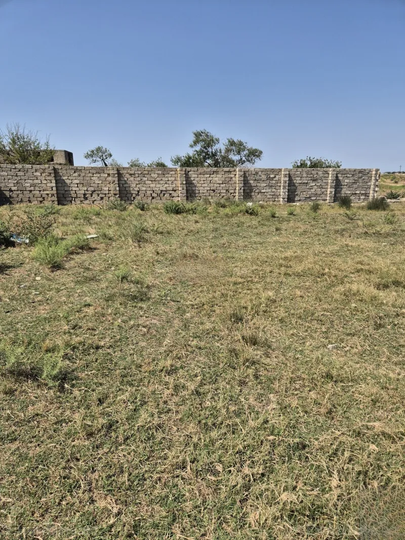 Torpaq satılır — Nardaran, Bakı - şəkil 4