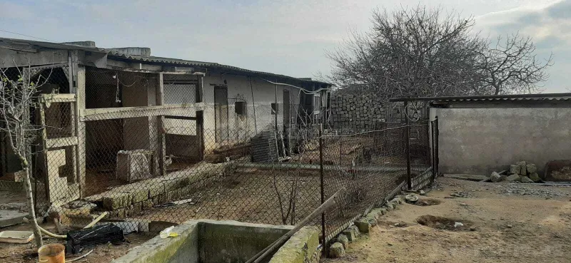 5 otaqlı həyət evi satılır — Türkan, Bakı - şəkil 5