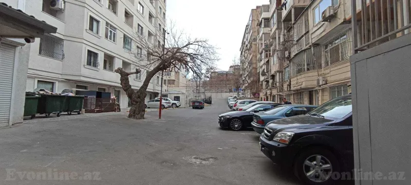 Obyekt kirayə verilir — Səbail r., Bakı - şəkil 3