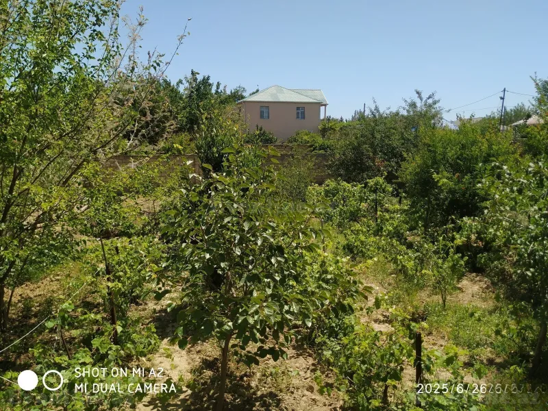 3 otaqlı həyət evi satılır — Sumqayıt - şəkil 10