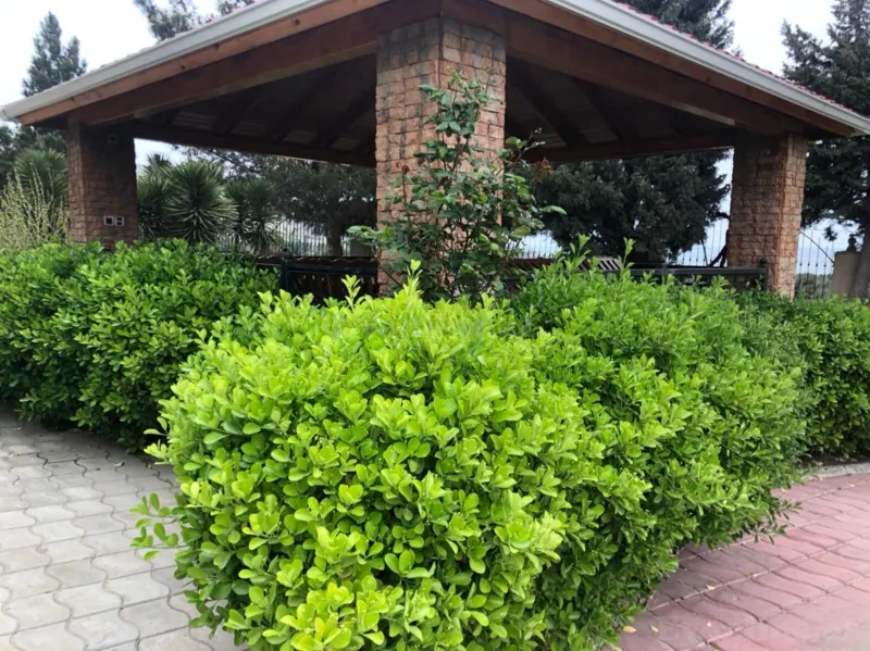 7 otaqlı həyət evi satılır — Şıxov, Bakı - şəkil 6
