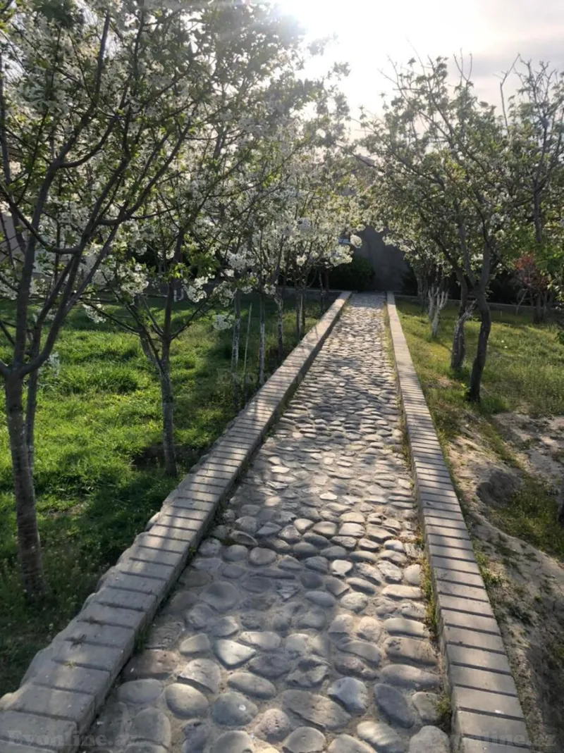 7 otaqlı həyət evi satılır — Şıxov, Bakı - şəkil 24