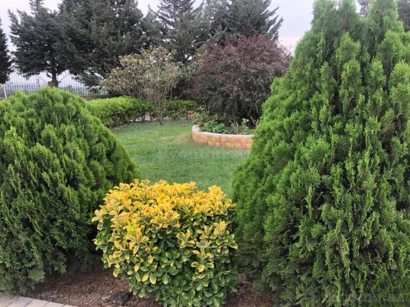 7 otaqlı həyət evi satılır — Şıxov, Bakı - şəkil 26