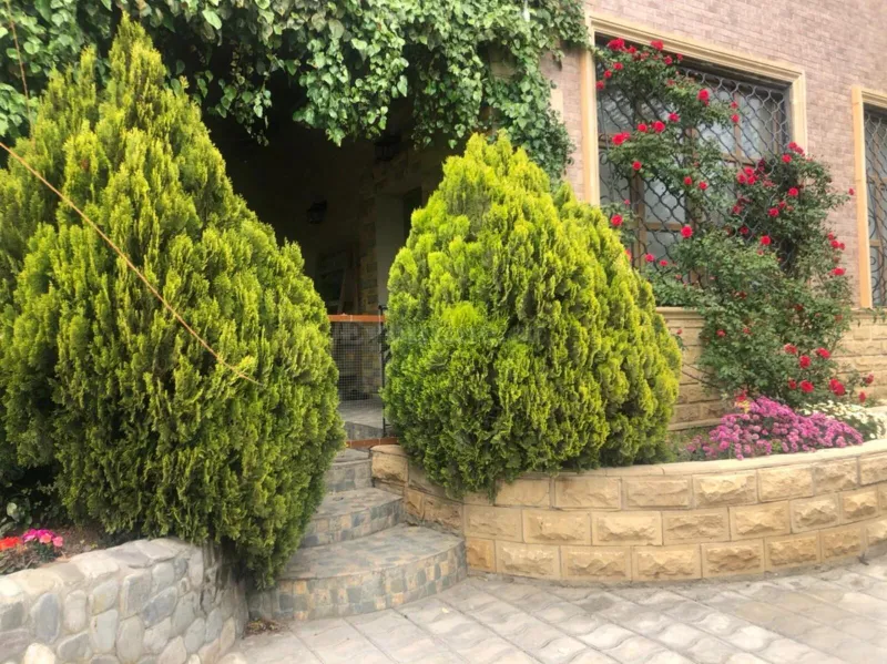 7 otaqlı həyət evi satılır — Şıxov, Bakı - şəkil 27