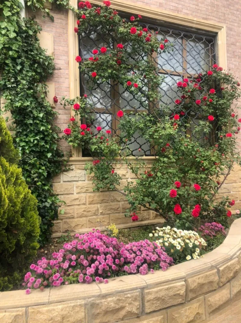 7 otaqlı həyət evi satılır — Şıxov, Bakı - şəkil 28
