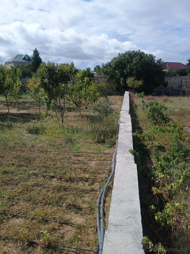 Torpaq satılır — Albalılıq, Bakı - şəkil 13