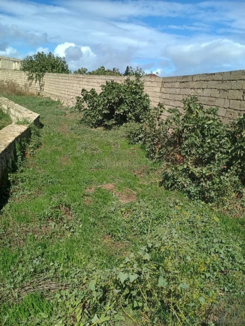 Torpaq satılır — Albalılıq, Bakı - şəkil 14