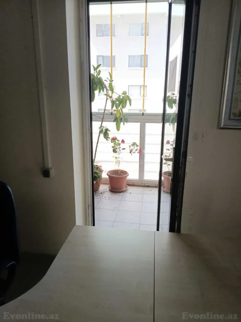 Ofis kirayə verilir — 8 Noyabr m., Bakı - şəkil 3