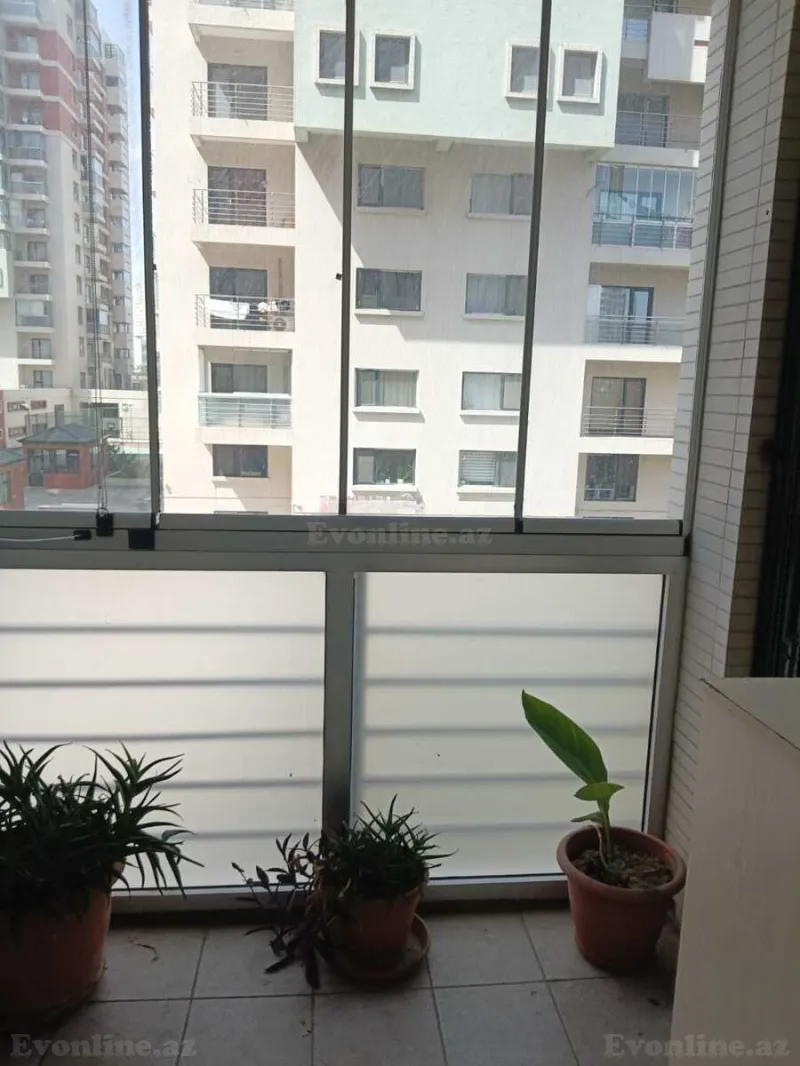 Ofis kirayə verilir — 8 Noyabr m., Bakı - şəkil 19