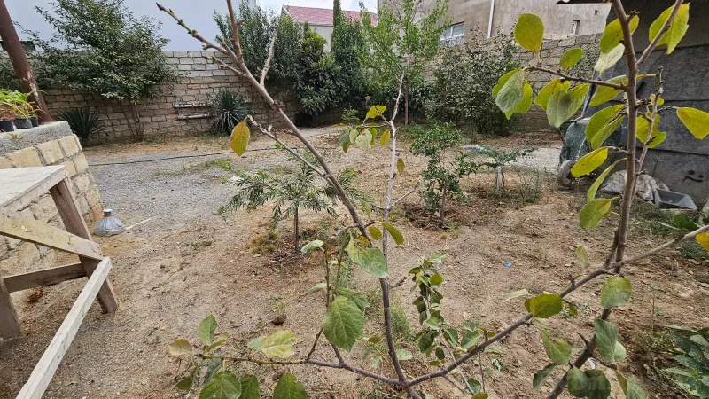 5 otaqlı həyət evi satılır — Buzovna, Bakı - şəkil 23