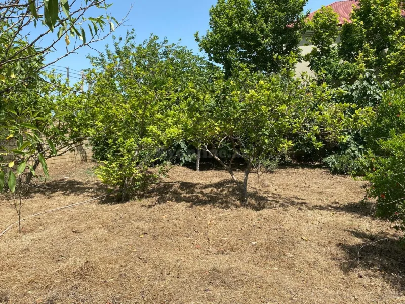Torpaq satılır — Novxanı, Bakı - şəkil 2
