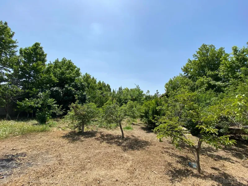 Torpaq satılır — Novxanı, Bakı - şəkil 3