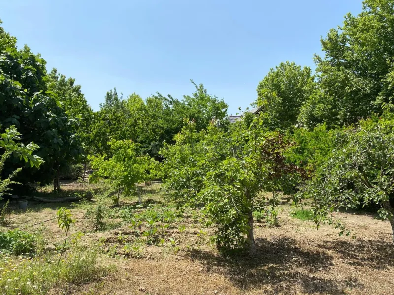 Torpaq satılır — Novxanı, Bakı - şəkil 6