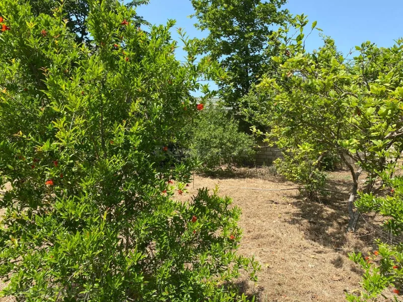 Torpaq satılır — Novxanı, Bakı - şəkil 9