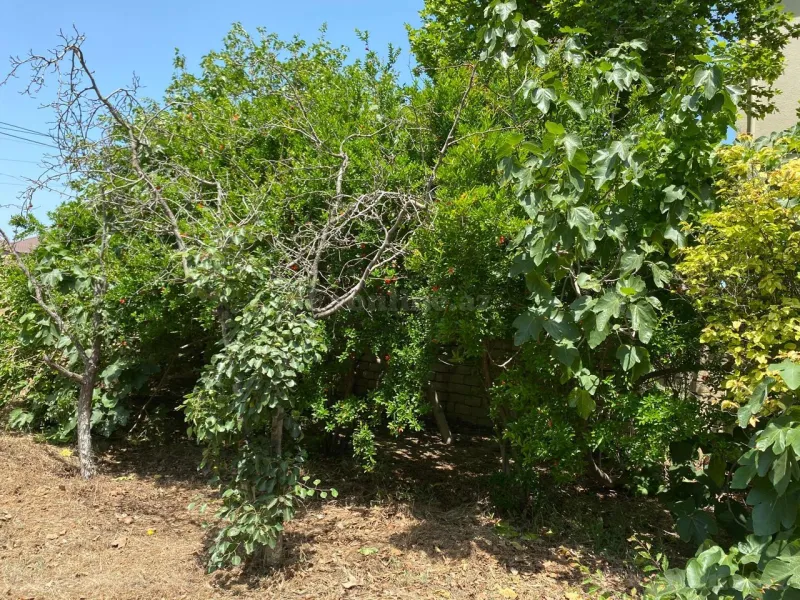 Torpaq satılır — Novxanı, Bakı - şəkil 12