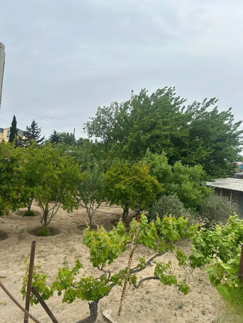 5 otaqlı həyət evi satılır — Bilgəh, Bakı - şəkil 9