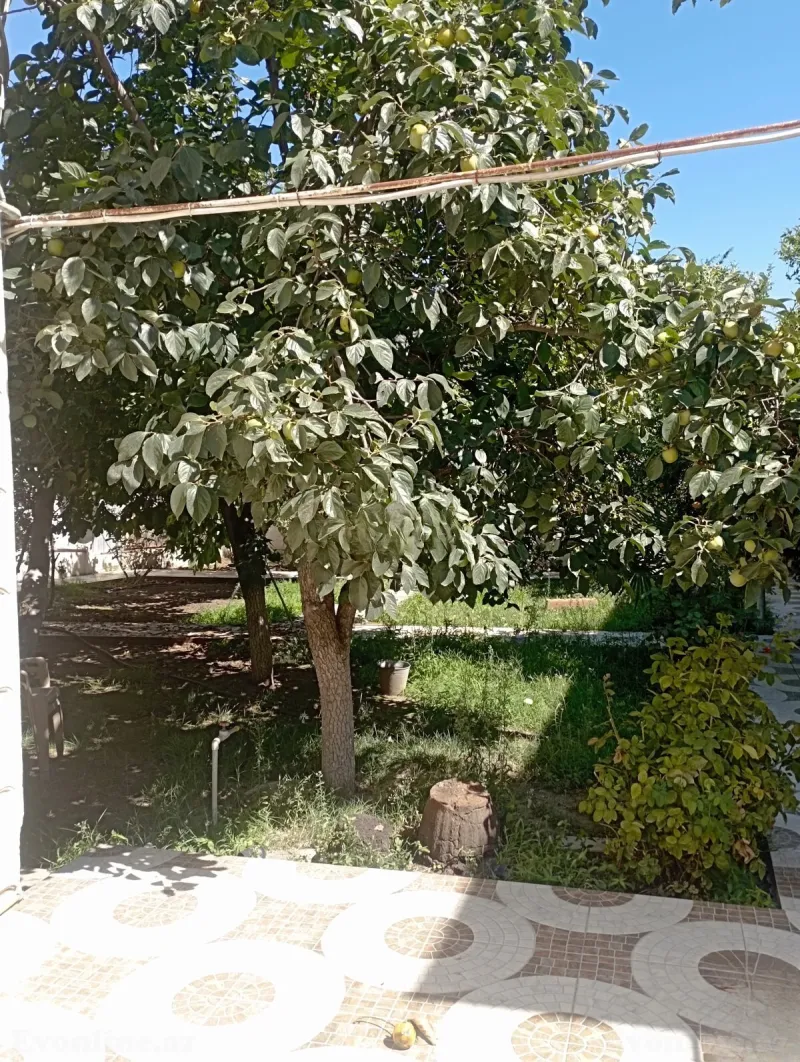 6 otaqlı həyət evi kirayə verilir — Bakıxanov, Bakı - şəkil 3