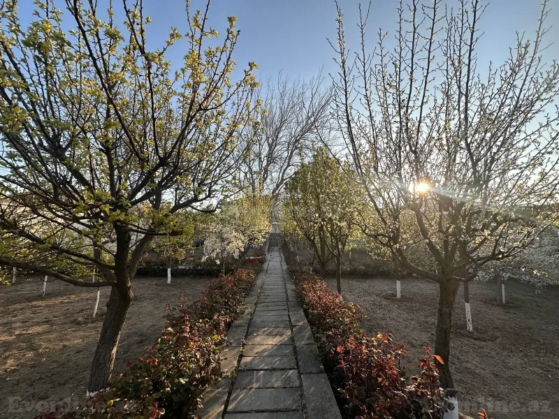 Torpaq satılır — Savalan, Bakı - şəkil 2