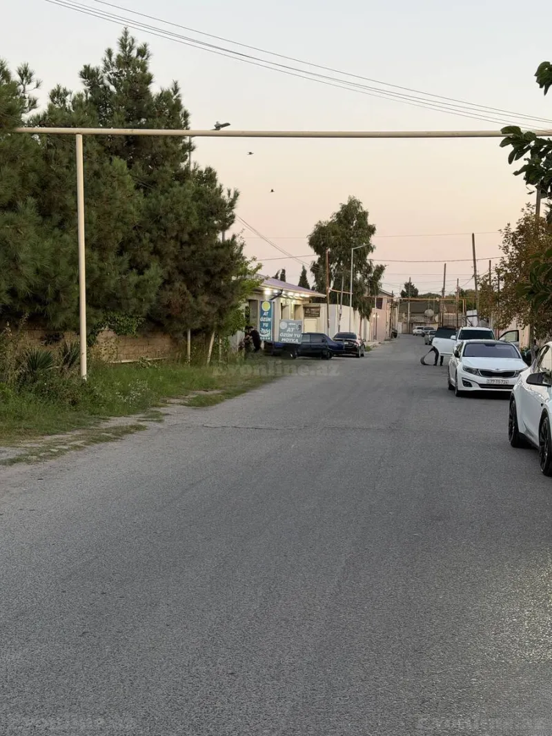 Torpaq Şüvəlan Satılır