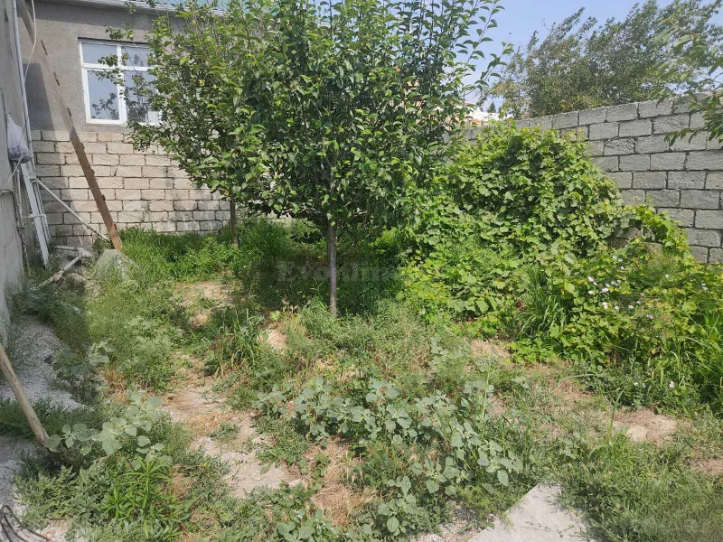 3 otaqlı həyət evi satılır — Digah, Bakı - şəkil 6