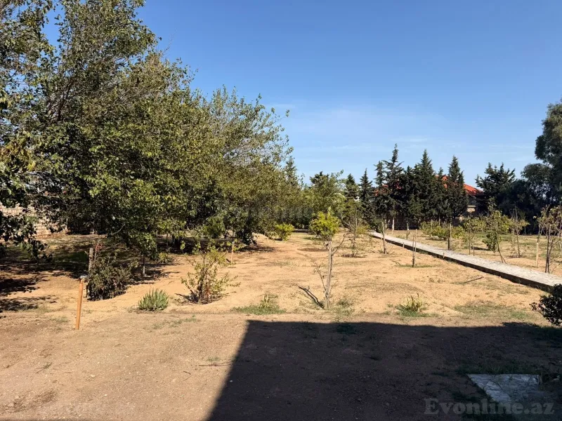 Torpaq satılır — Mərdəkan, Bakı - şəkil 2