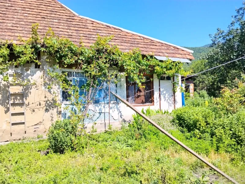 Oğuzda 4 otaqlı həyət evi satılır