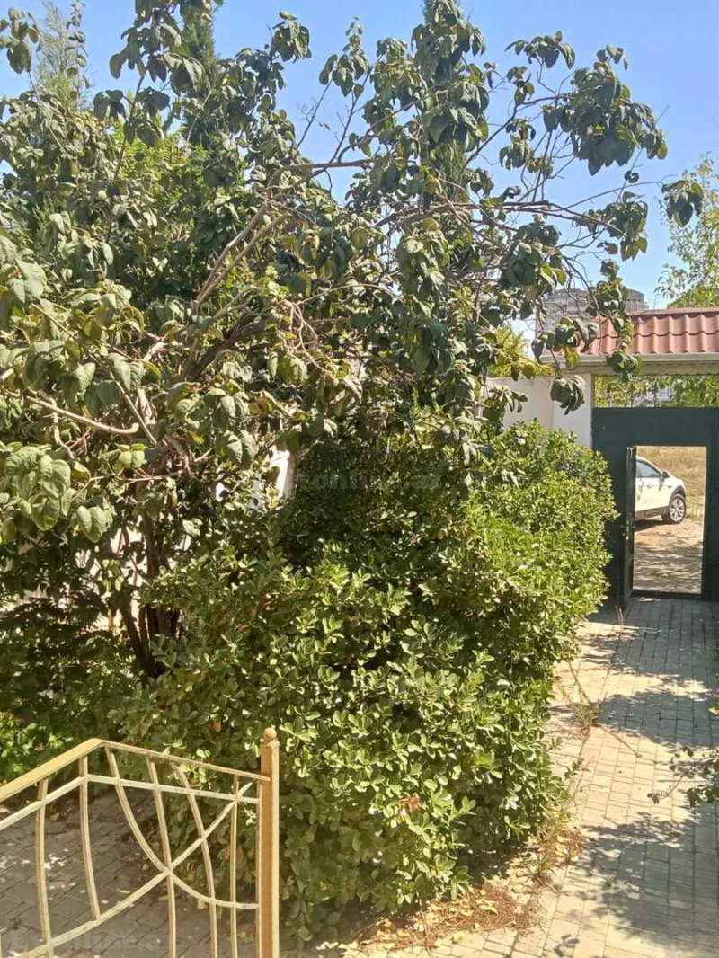 Torpaq satılır — Xətai r., Bakı