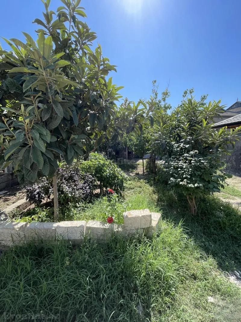 Torpaq satılır — Bakıxanov, Bakı - şəkil 4