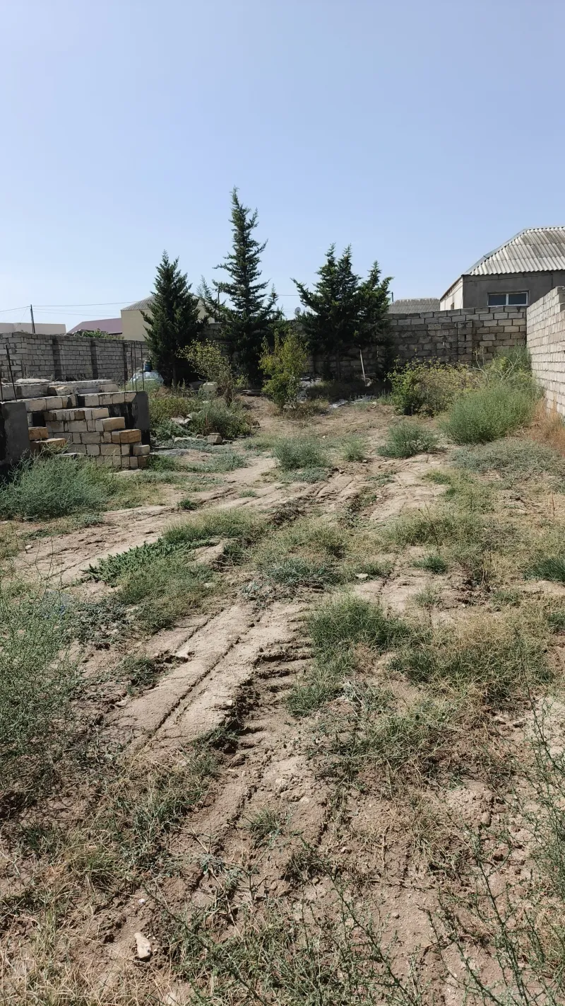 Torpaq satılır — Albalılıq, Bakı - şəkil 3